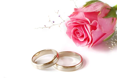 Wedding Background Images