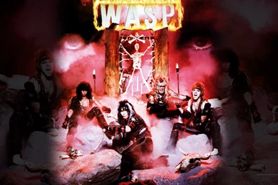 3 Wasp HD Wallpapers