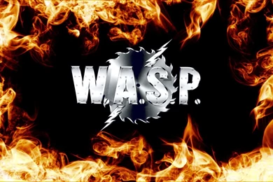 Wasp Wallpapers