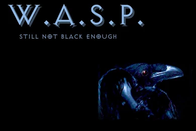 W.A.S.P Wallpaper, Picture, Photo, Image