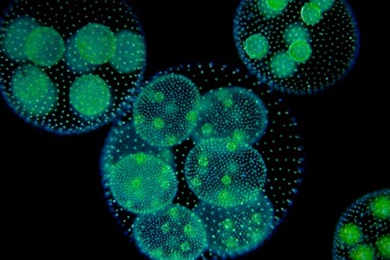 HP Laptop Wallpapers