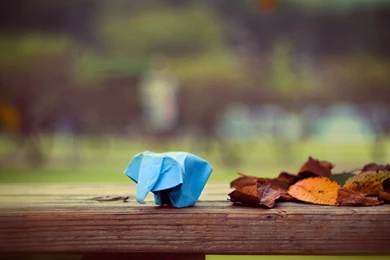 Free Hewlett Packard Desktop Backgrounds