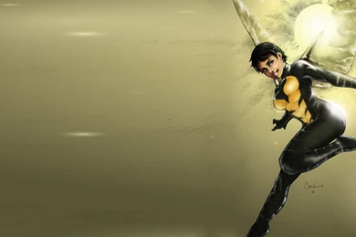 Comics Avengers Comics The Wasp Janet Van Dyne Wallpapers ...