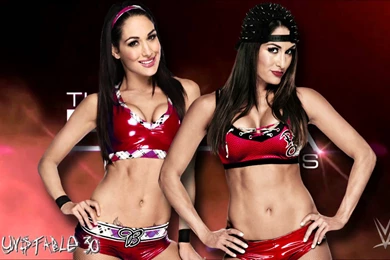 The Bella Twins 4th WWE Theme Song For 30 Minutes   You Can Look ...