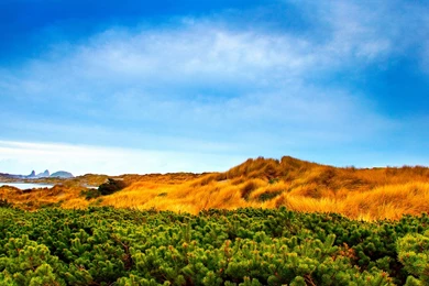 Celeb's Pic's: Beautiful Nature Wallpapers For Your Desktop