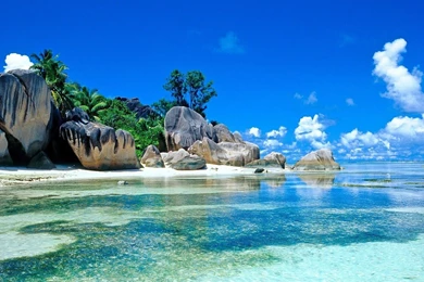 3 Island Paradise Backgrounds