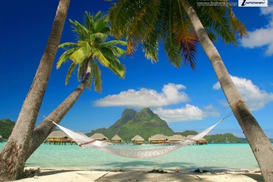 Island Paradise Wallpapers   Photo 114 Of 333