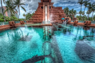 Atlantis Paradise Island Wallpapers HD Download For Desktop