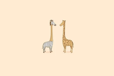 Animal Wallpaper: Cute Giraffe Images Wallpapers For Desktop   From ...