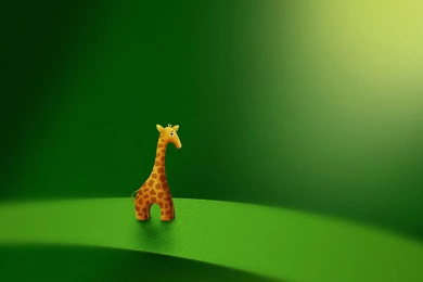 1280x1024 Micro Giraffe Desktop PC And Mac Wallpapers