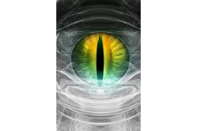 WVGA Wallpapers Pack For Pocket PC   Download