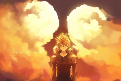 Kingdom Hearts Roxas Wallpapers   (