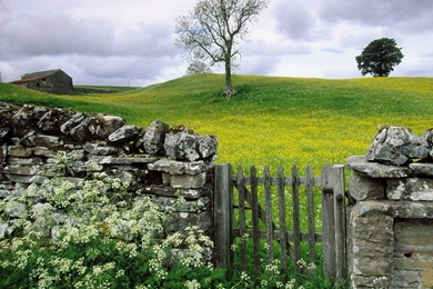 United Kingdom Wallpapers 2015   Grasscloth Wallpapers