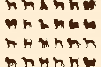 Dogs Silhouette Set Vector Art & Graphics