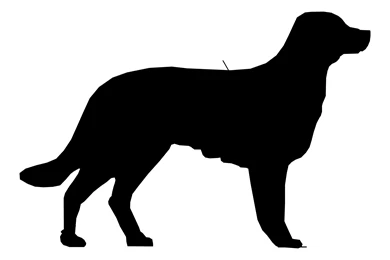 Dog Silhouette Babes Hd Wallpaper. Dog Wallpapers Silhouette ...