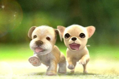 Images Of Cute Dogs