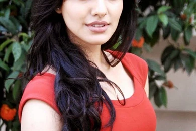 Neha Sharma HD Wallpapers