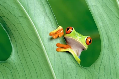 Retina Resolution & Parallax Effect (iPad 4 And Air) On Pinterest ...