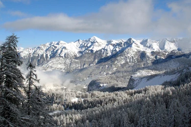 Nature Wallpapers   Winter, Darkgray, Gainsboro