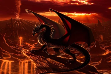 Dragon Wallpaper Backgrounds 5671d   Wallpapers HD Fix