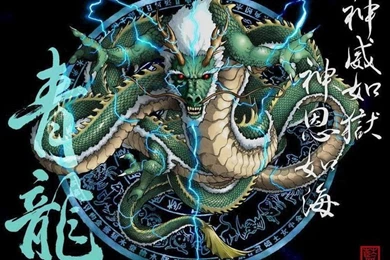 1000+ Ideas About Pictures Of Chines Drangons