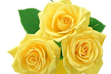 Yellow Roses PNG By Melissa tm.deviantart.com On @DeviantArt ...