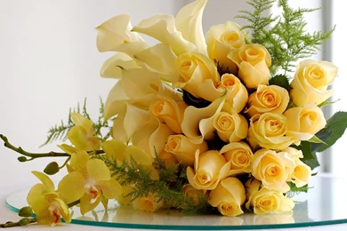 Flower Rose Yellow