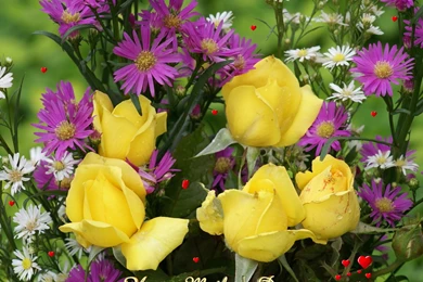 Yellow+rose+flower+wallpaper 4.jpg