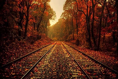 Fall Themed Wallpapers   HD Wallpapers And Pictures