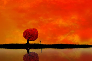 20 Autumn Wallpapers For Your Android