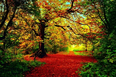 30 Most Beautiful Autumn Wallpapers HD   MixHD Wallpapers