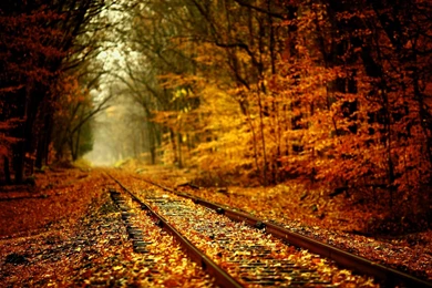 Cool Winter Backgrounds – 1920×1200 High Definition Wallpapers ...