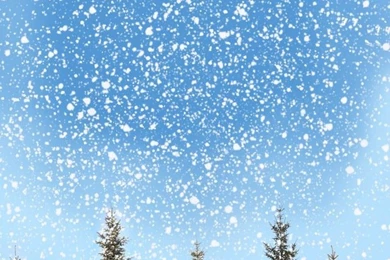 1(W)x1.5(H)m Scenic Snow Backgrounds Free Shipping Christmas Theme ...