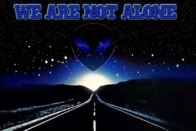 Beer Bud Light Bud Light – Abstract Photography HD Desktop Wallpapers