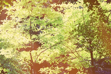 Market Wallpapers   HD Widescreen Wallpapers