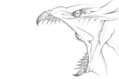 Banshee Sketch Wallpapers By EmmaMarieWard On DeviantArt