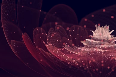 Wallpapers Abstract Flowers Sparkly Pink 1920x1200