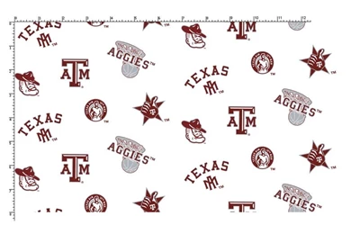 TEXAS A AND M UNIVERSITY : Fantastic Sports Store Mobile Site ...