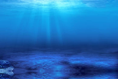 Wallpapers Under Water Denying Your Deepest Needs Is Like ...