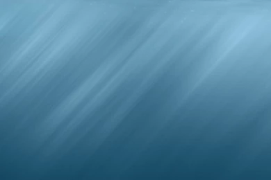 2016 New Year Show Our Collection Of Underwater Iphone 6 Plus ...