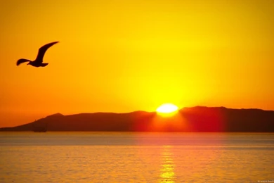 SUNRISE WALLPAPERS   Android Apps On Google Play