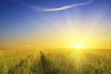 Beautiful Sunrise Nature Images HD