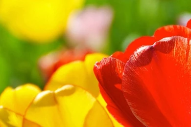 Full Hd Wallpapers For Mobile Iphone 6 Plus Wallpapers