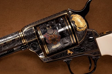 Springfield Armory HD Gun Weapons Photo