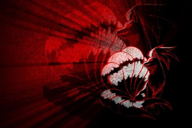 Browsing Wallpapers On DeviantArt