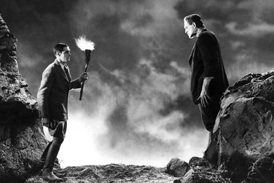 Frankenstein, Movie, Christmas, 1920x1080 HD Wallpapers And FREE ...