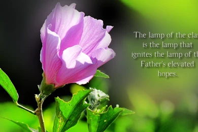 Wallpapers Slogan English Savers Screen Slogans 1920x1080 ...