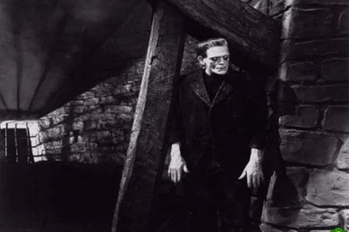 Crazy Frankenstein   Frankenstein   Movie Wallpapers