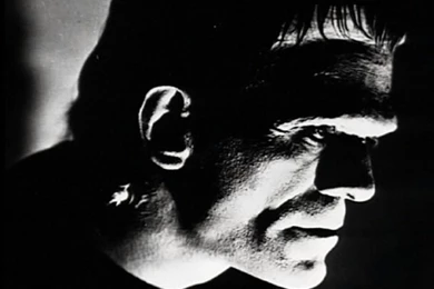 Wallpapers Evil Monster Frankensteins Actor Dark Devil ...