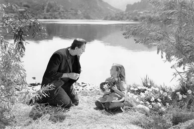 7 Frankenstein HD Wallpapers